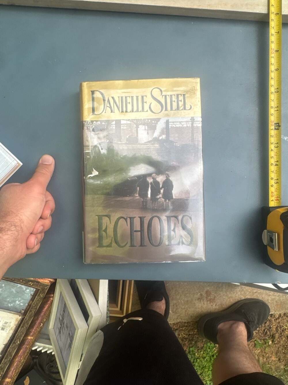 Echoes by Danielle Steel Hardcover Book